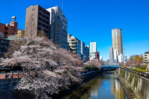 【目黒区で会社設立】都心近接で動きやすい。拠点設定と設立準備のポイントを解説