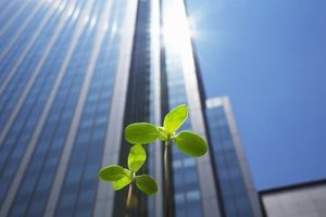 会社設立の基礎用語30選。起業前に知っておきたい言葉をわかりやすく解説